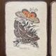 Lot de 2 tableaux en bois avec planche botanique papillons
