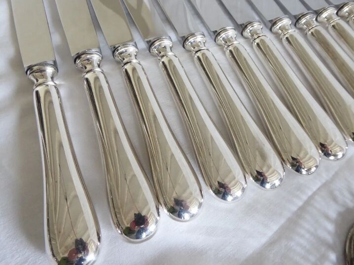 Set of 12 table knives in silver metal