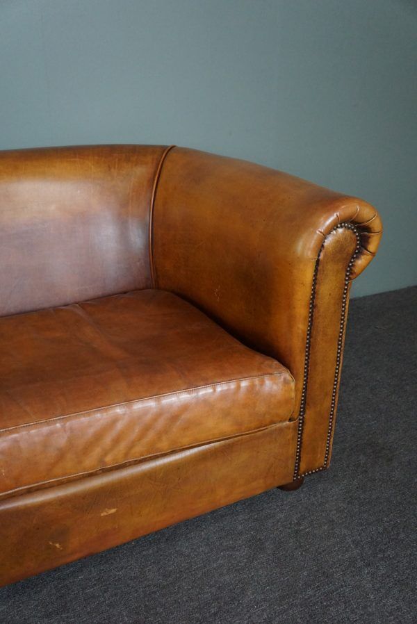 Beautifully colored 2.5-seater cowhide sofa