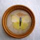 Plateau et sous-verres papillons
