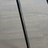 Vittorio Nobili for Fratelli Tagliabue Italian Medea dining chairs, 1950s