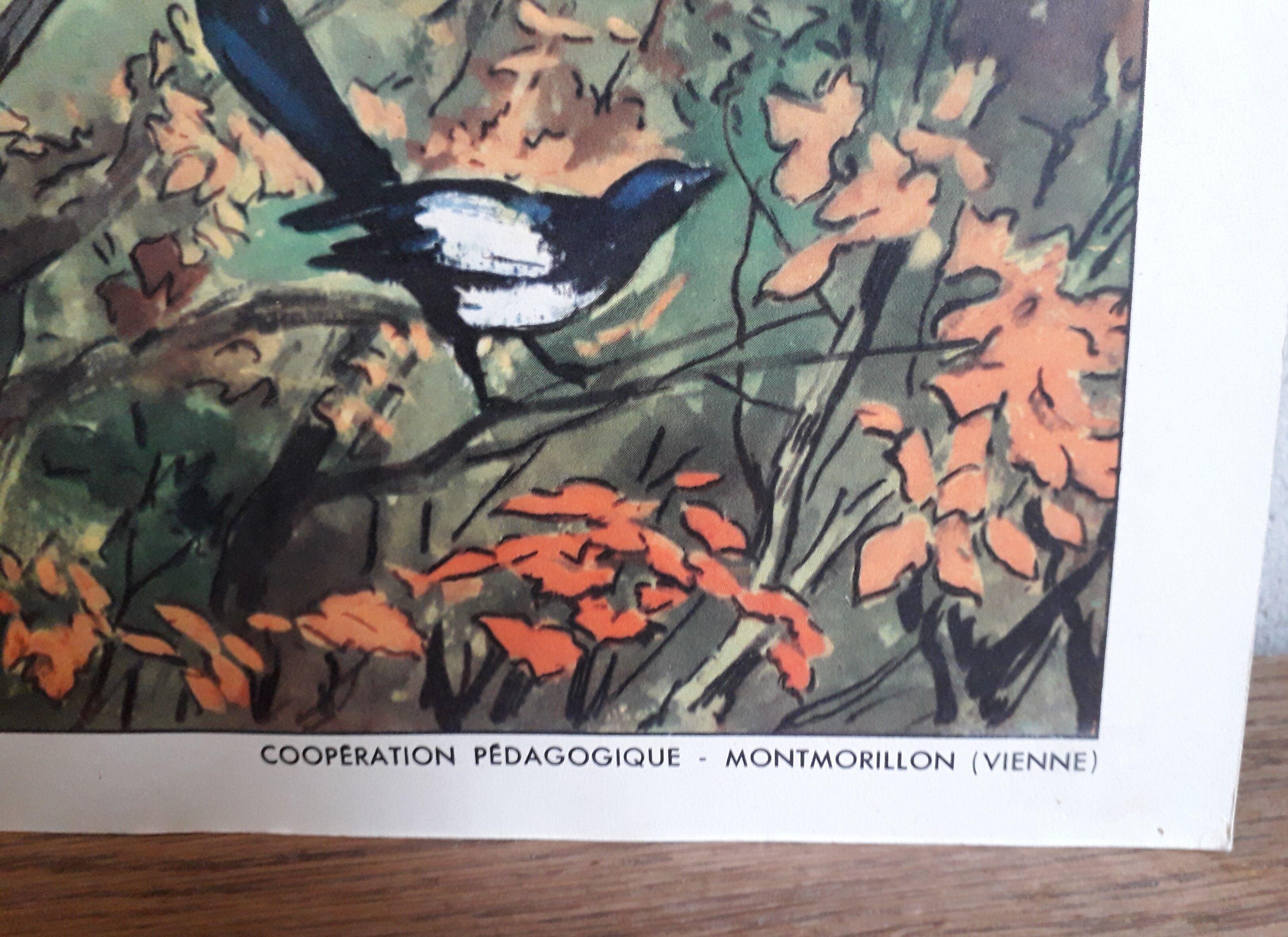 50s school poster Rossignol collection, autumn-the village plan