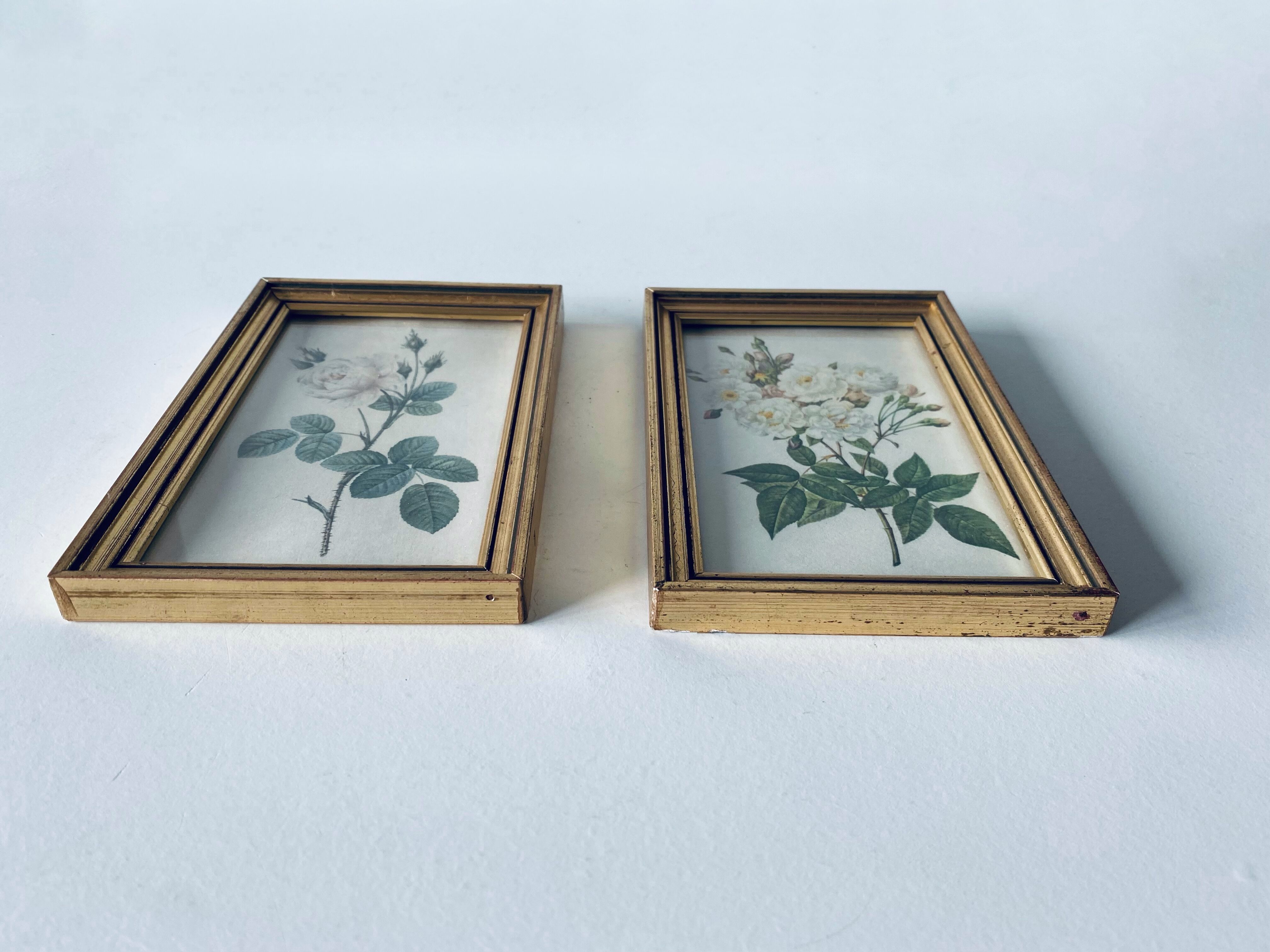 Duo of framed lithographs