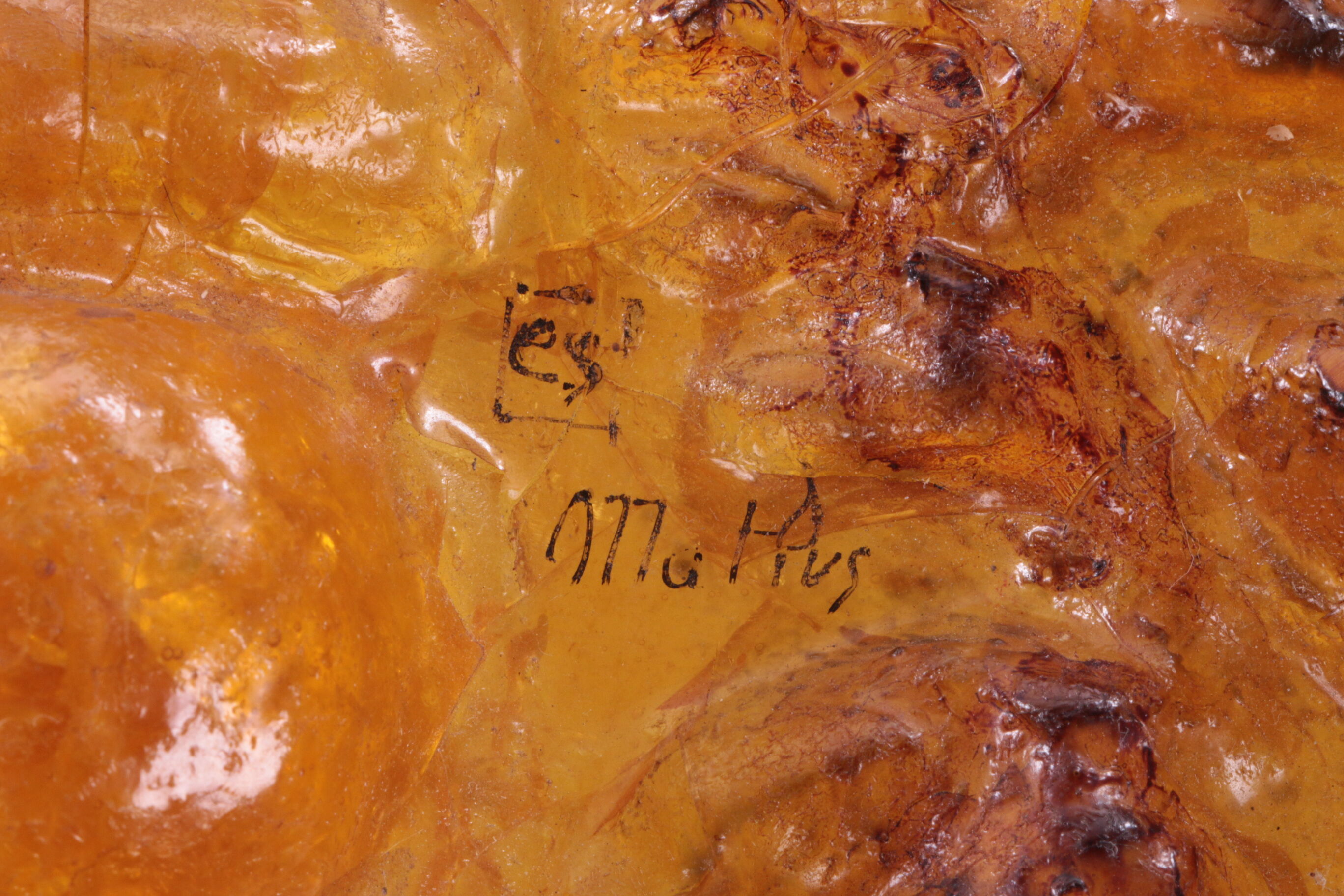 Wall decoration design by Matius made of resin 1970 France