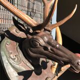 Hunting Trophy