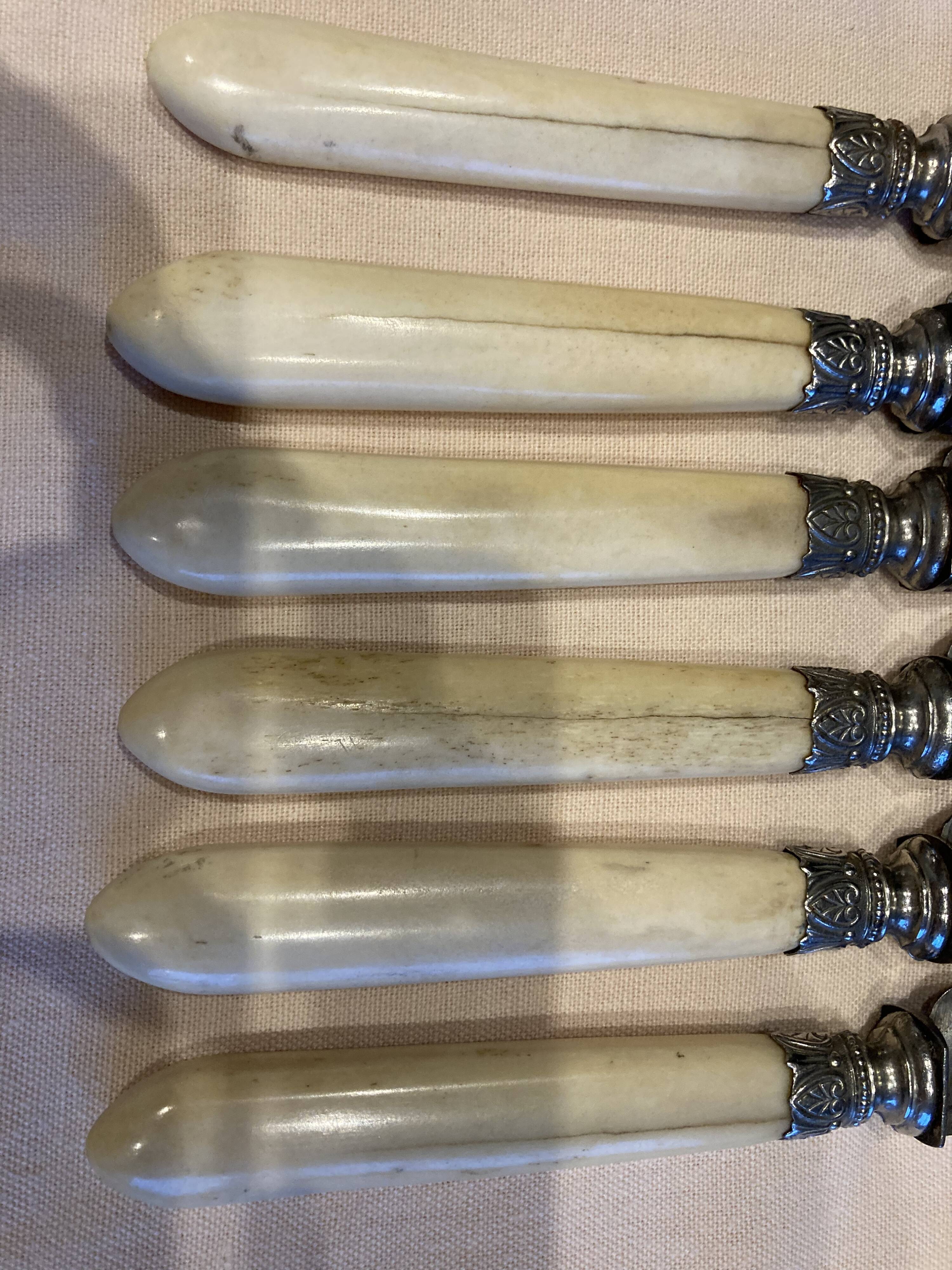 Series of 6 horn handle knives