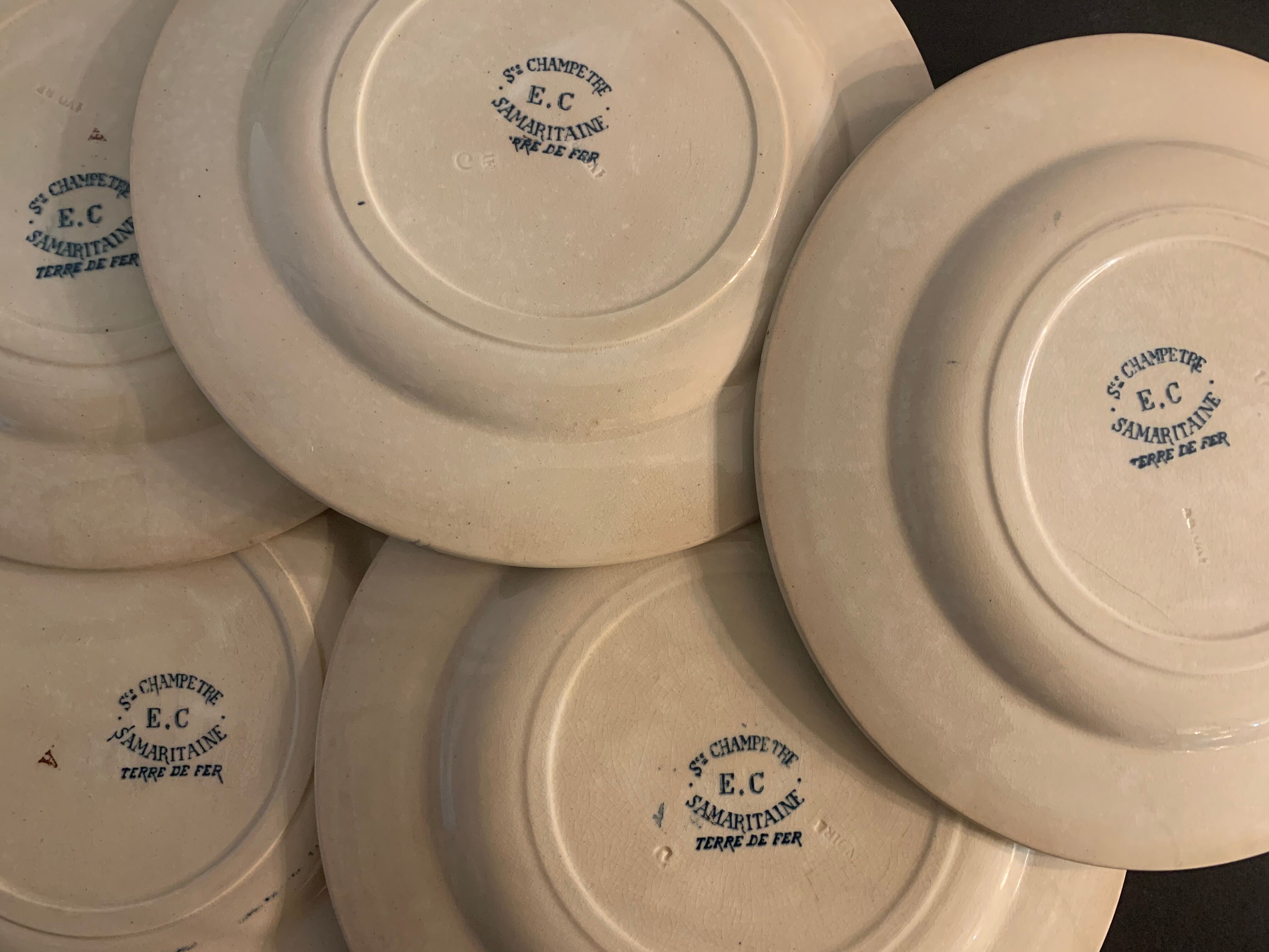 9 dessert plates old chickens, geese and pheasants blue field service Terre de Fer