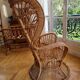 Gio Ponti and Lio Carminati vintage armchair. Bonacina edition 1950.