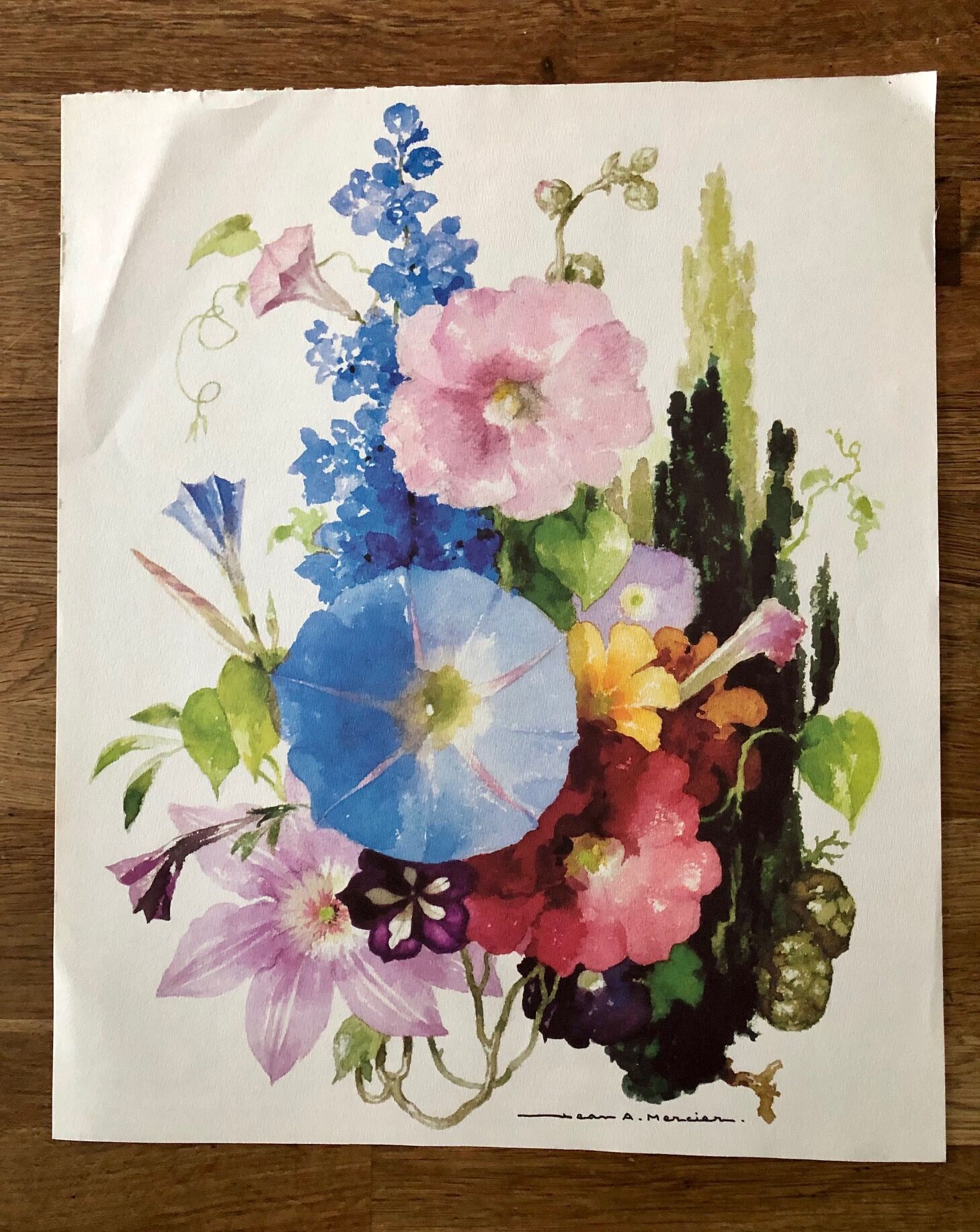 Watercolor on paper Bouquet bleu J.A Mercier, repro