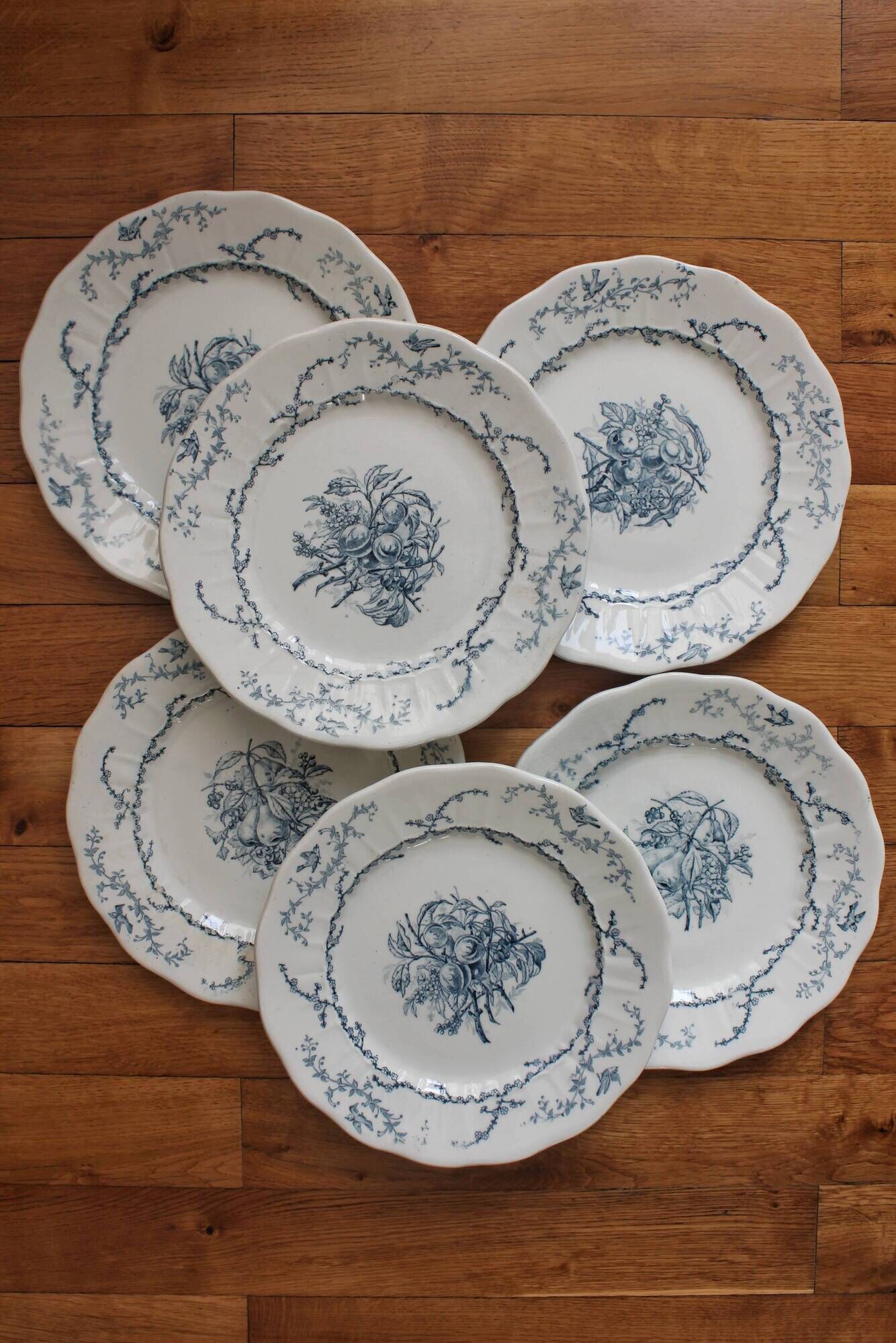6 flat plates in iron earth Pompadour earthenware factory of Clairefontaine