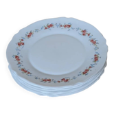 8 assiettes plates