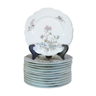 12 Limoges porcelain dinner plates for E.Bourgeois Paris