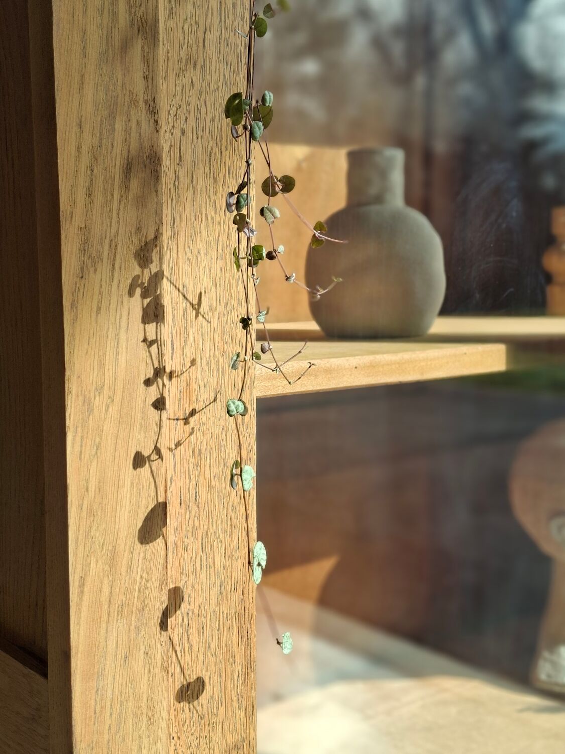 Large antique display cabinet in patinated solid oak.