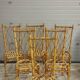 Set of 6 rattan chairs