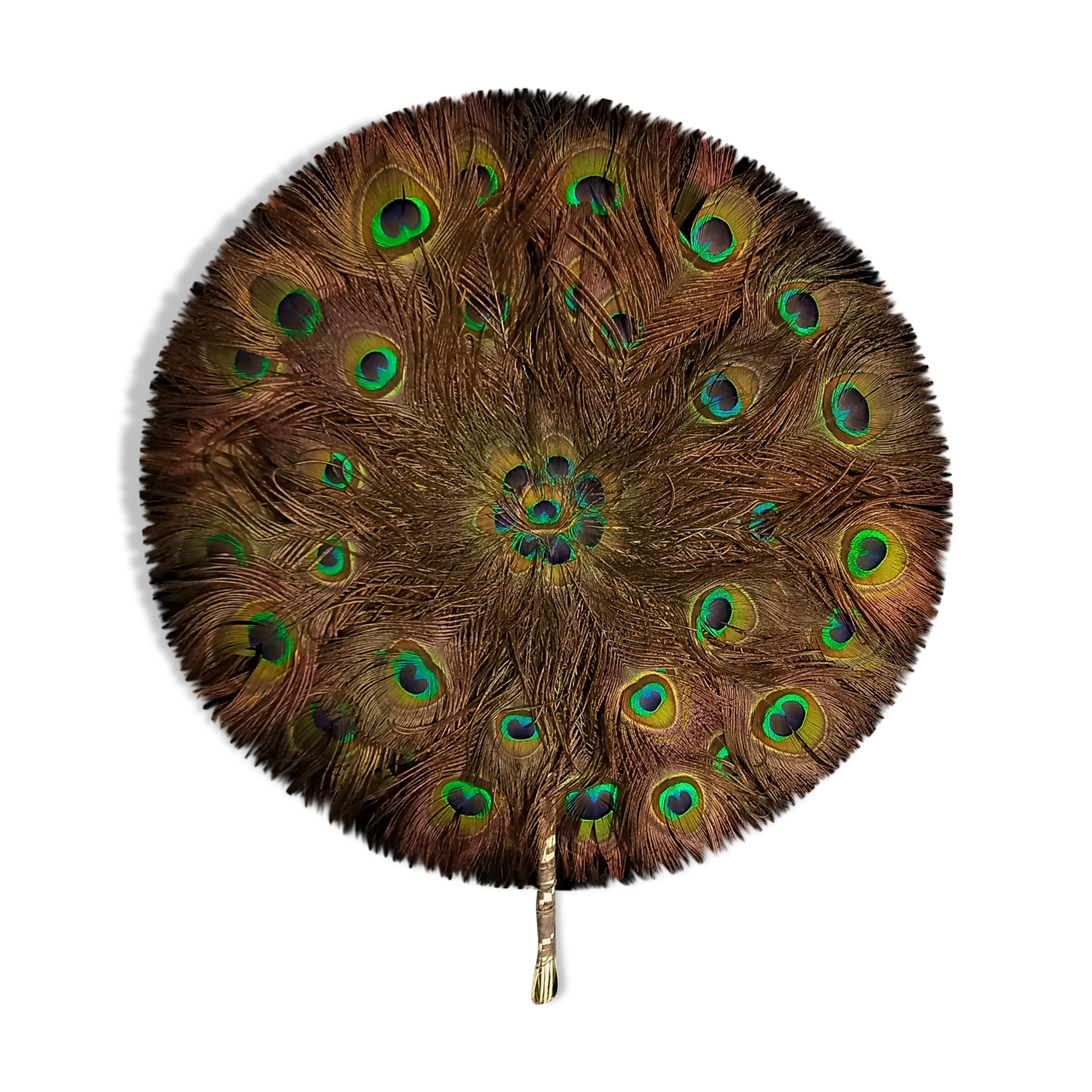 Double-sided peacock feathered eventail