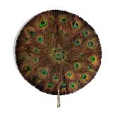 Double-sided peacock feathered eventail