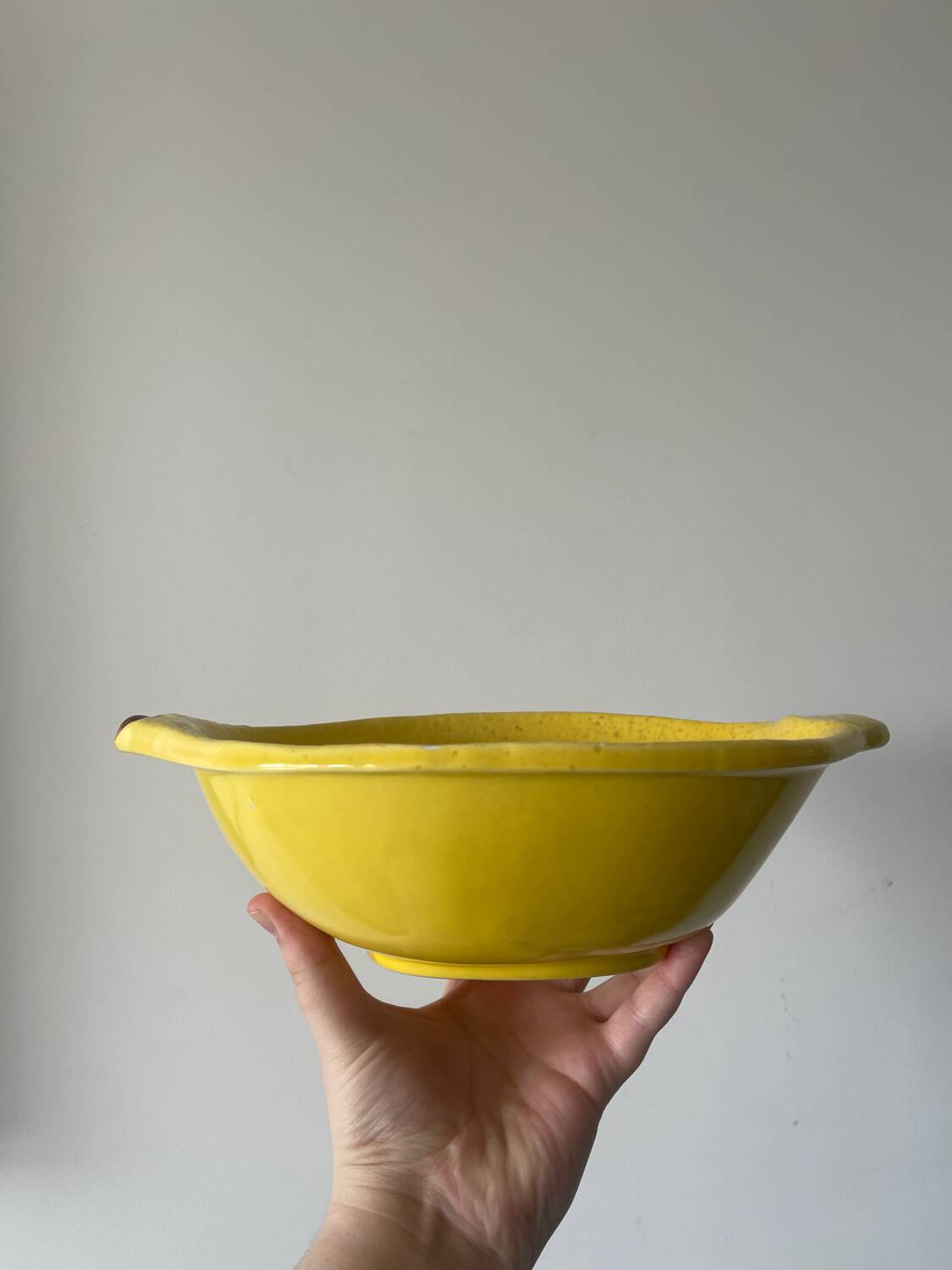 Ceramic dish/bowl in the shape of a lemon fruit and its decorative leaf