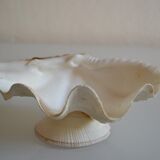 Clam shell in empty pocket