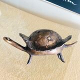Vintage Bronze Turtle