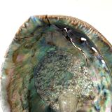 Vintage abalone shell lamp