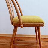 Set of chairs designed by A. Suman, Czechoslovakia, the 60s