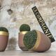 Planters, foundry crucibles