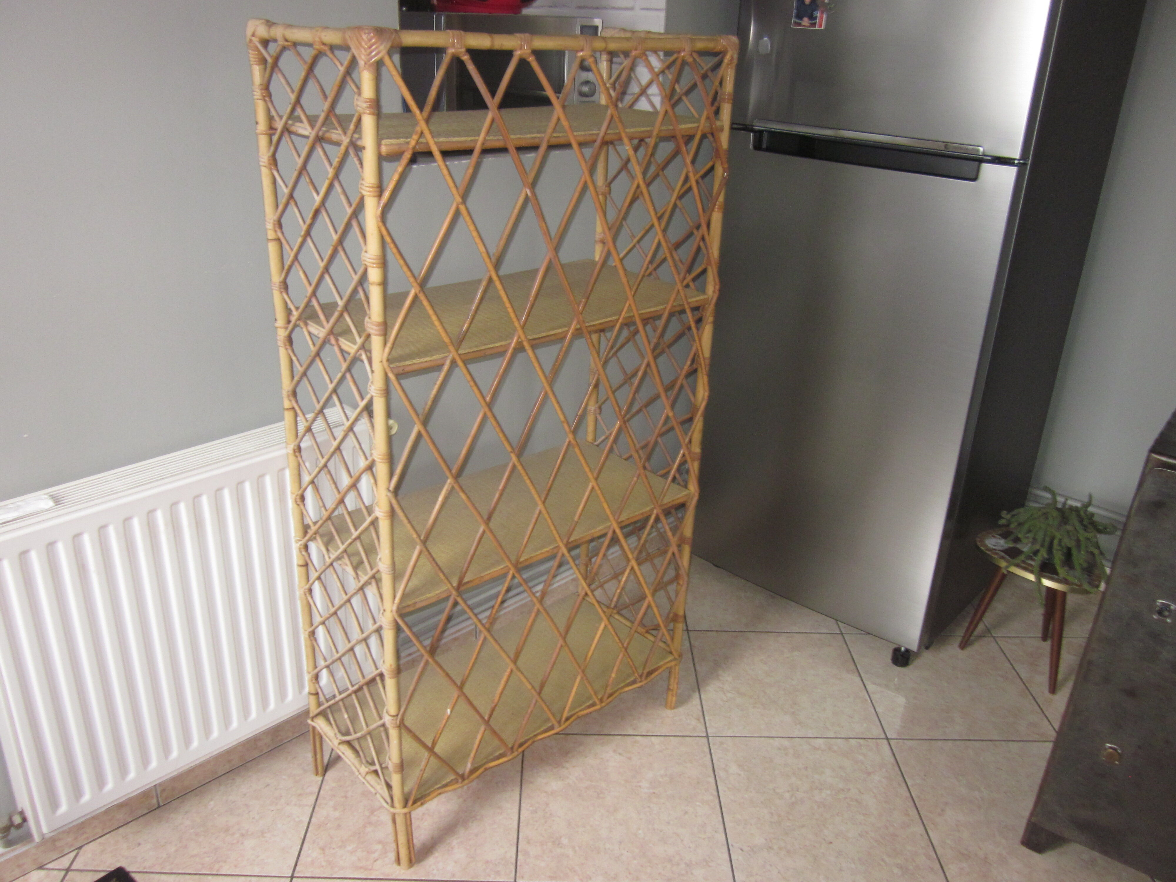 rattan age from the 1960s