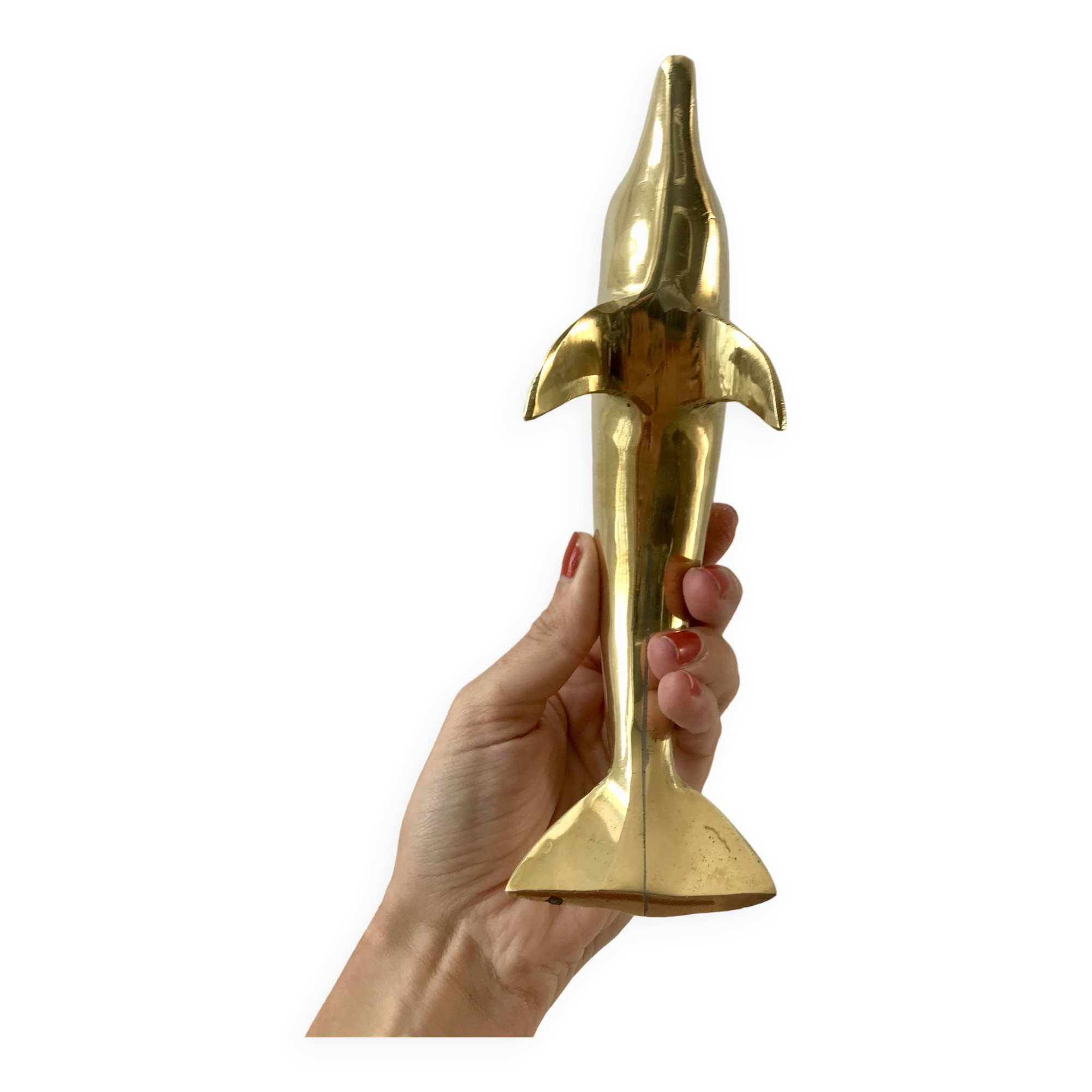 Bottlenose dolphin 1950s