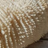 Vintage coral fungia large model