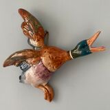 Duck Wall Plate - Beswick