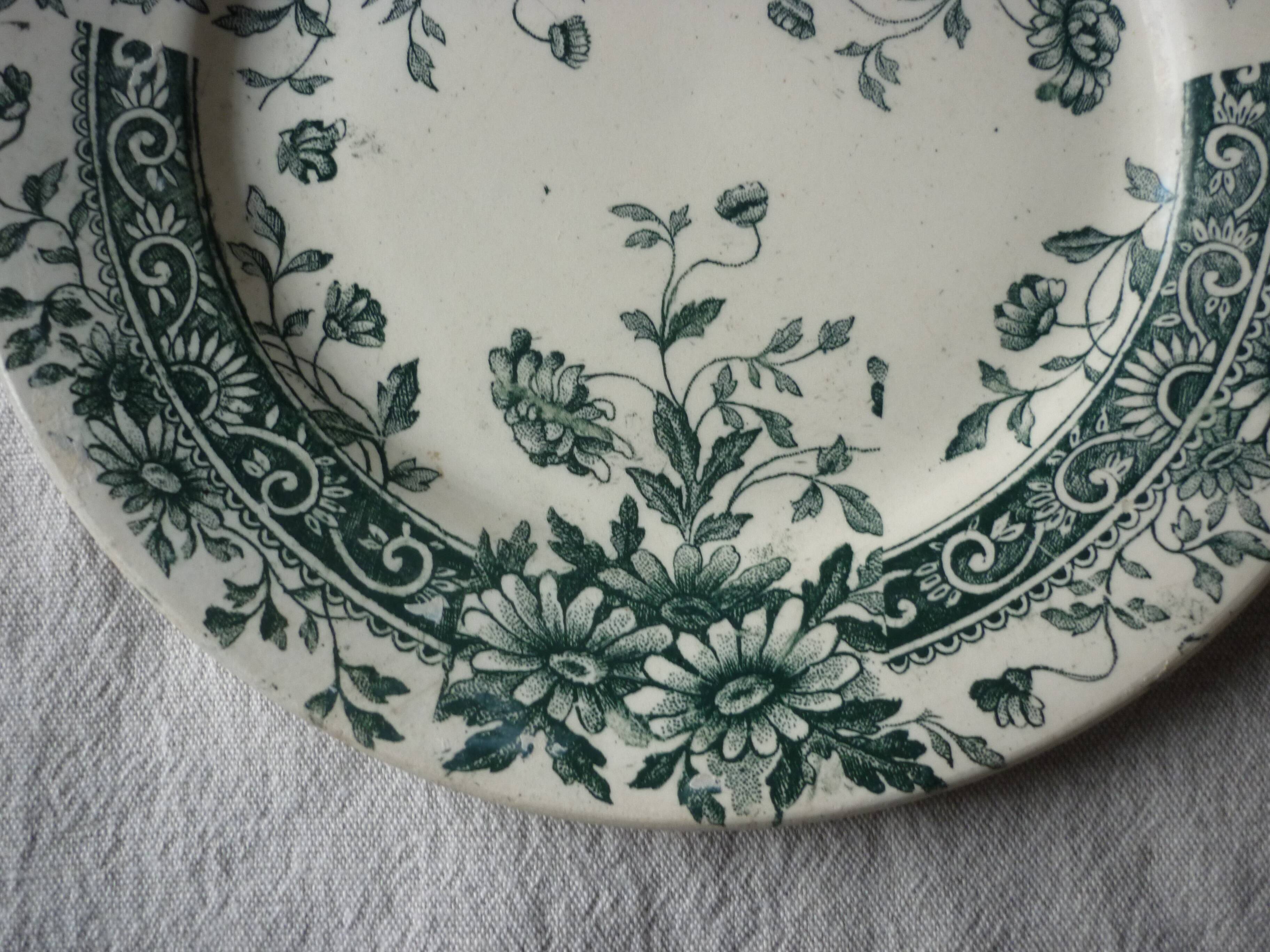 3 plates saline iron earth faience