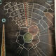 Dr. Auzoux's pedagogical poster - The Urchin - 1958