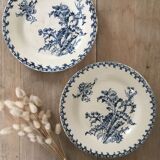 Flat plates iron earth Gien Thistles