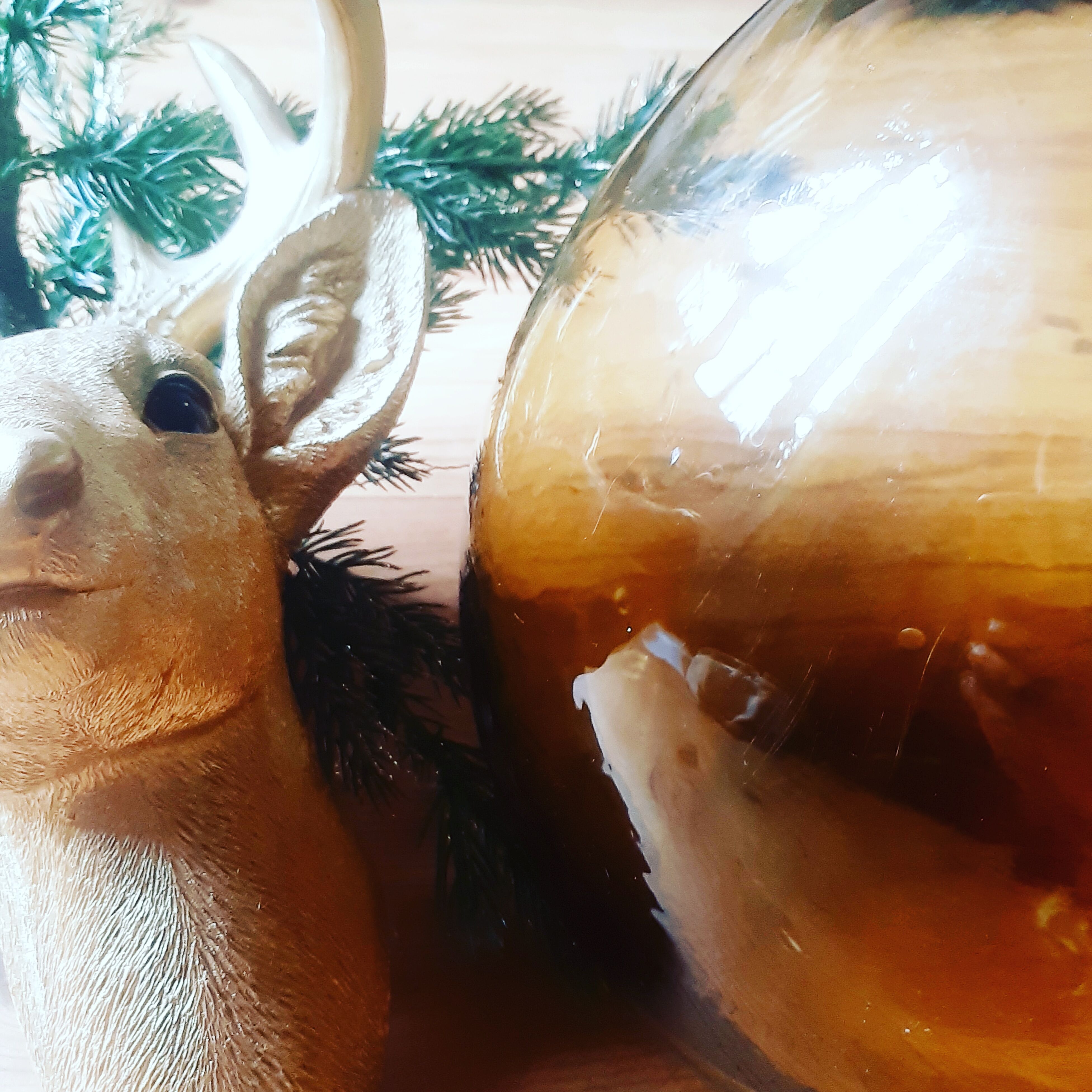 Demijohn of the 1950