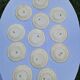 Set of 12 Terre De Fer Plates Manufacture Moore & Co Model Como