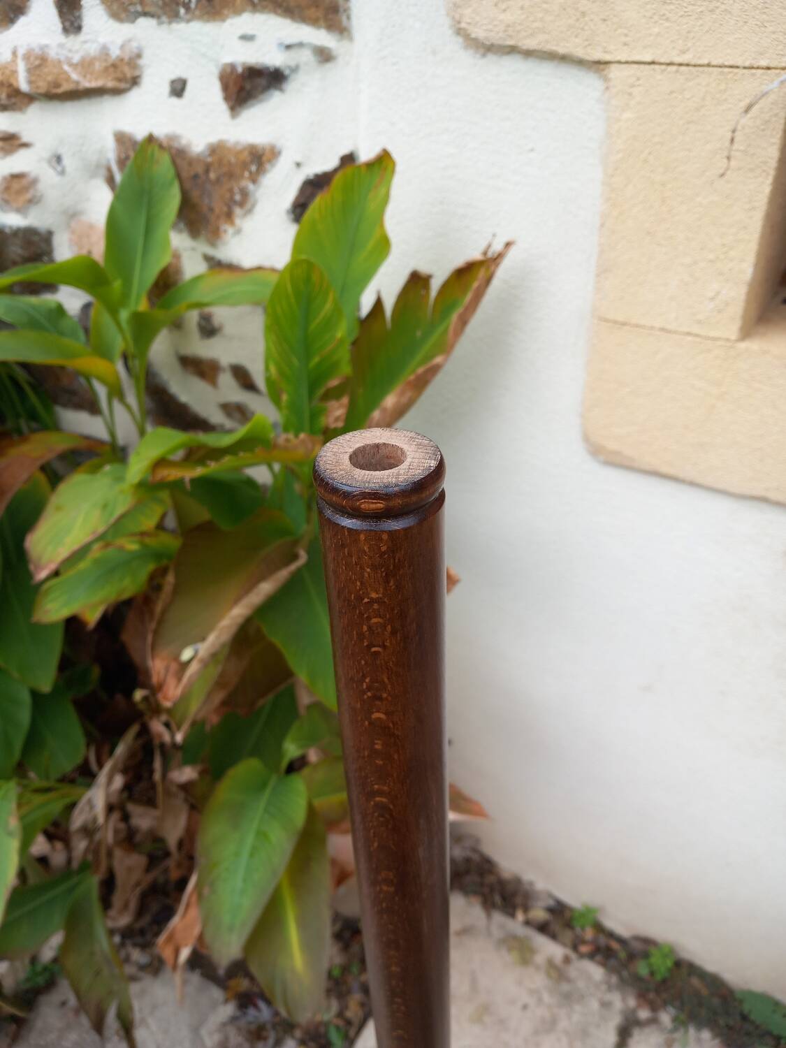 Vintage parrot coat rack