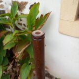 Vintage parrot coat rack