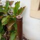 Vintage parrot coat rack