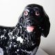 Vintage rum carafe Newfoundland Screech, Newfoundland dog in majolica.