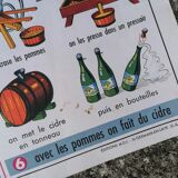 Old MDI poster "The leaves-The apple".