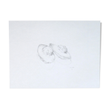 Madeleines, dessin original