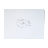 Madeleines, dessin original