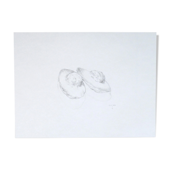 Madeleines, dessin original