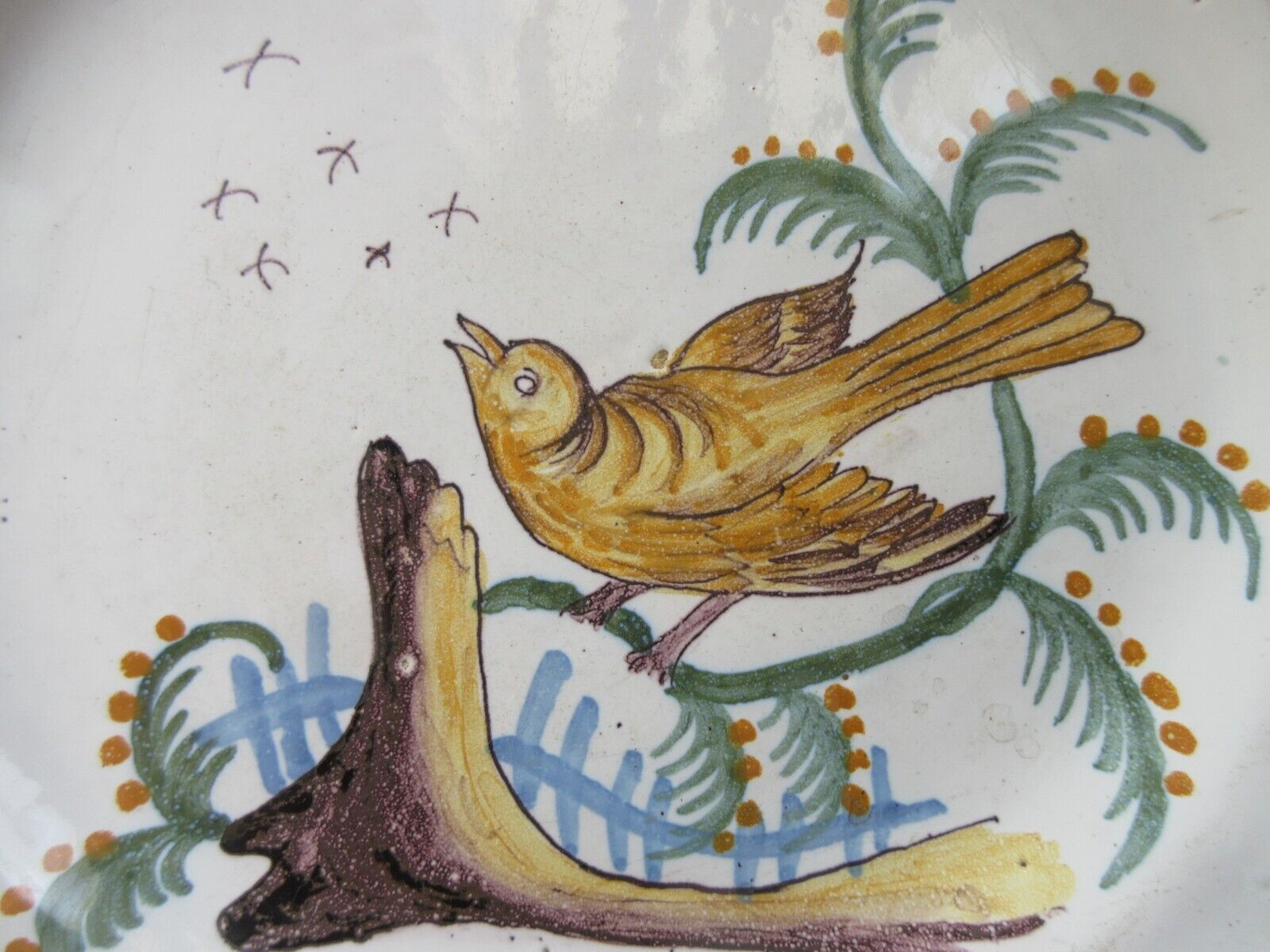 Plate XIXth, Perched bird catching insects