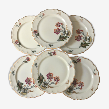 Assiettes à dessert en porcelaine de Limoges