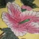 A pair of vintage Chinese decorative plates with floral designs on a yellow background.