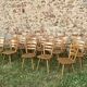 Series of 20 Scandinavian chairs or vintage wooden bistro