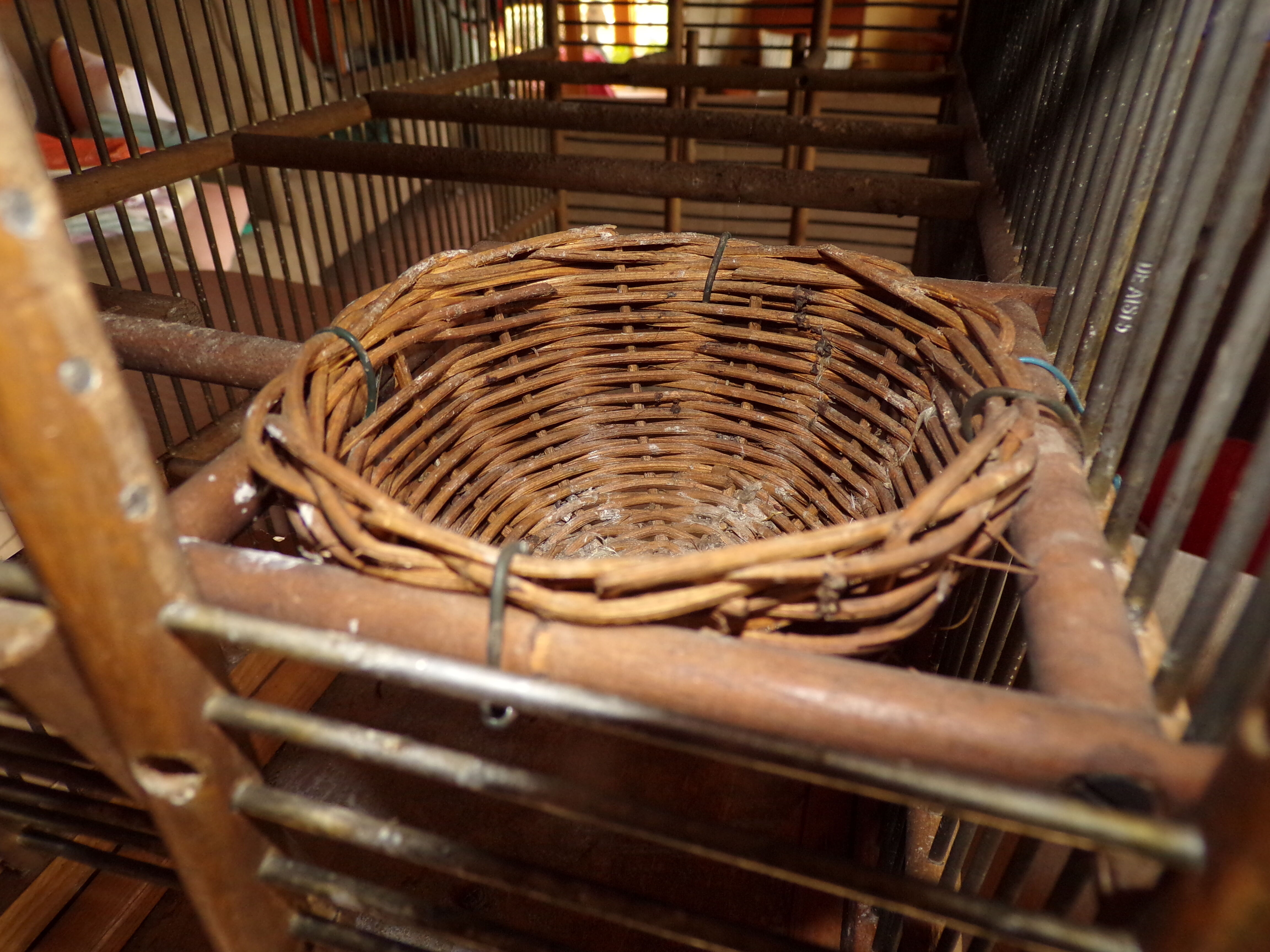 Ancient wooden birdcage
