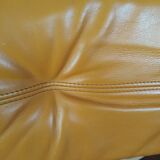 Deux chaises, roche bobois, années 70