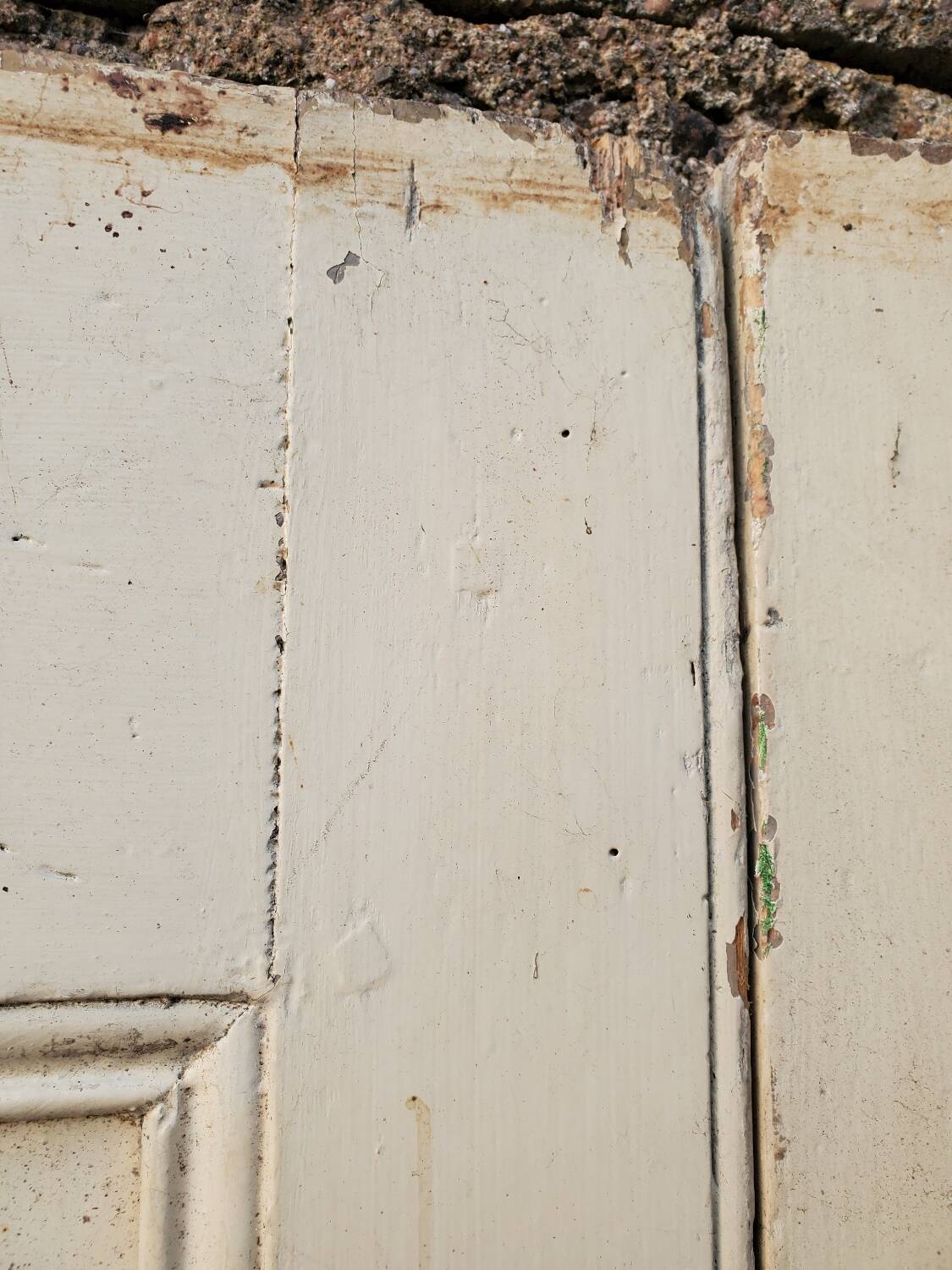 Pair of antique cupboard doors